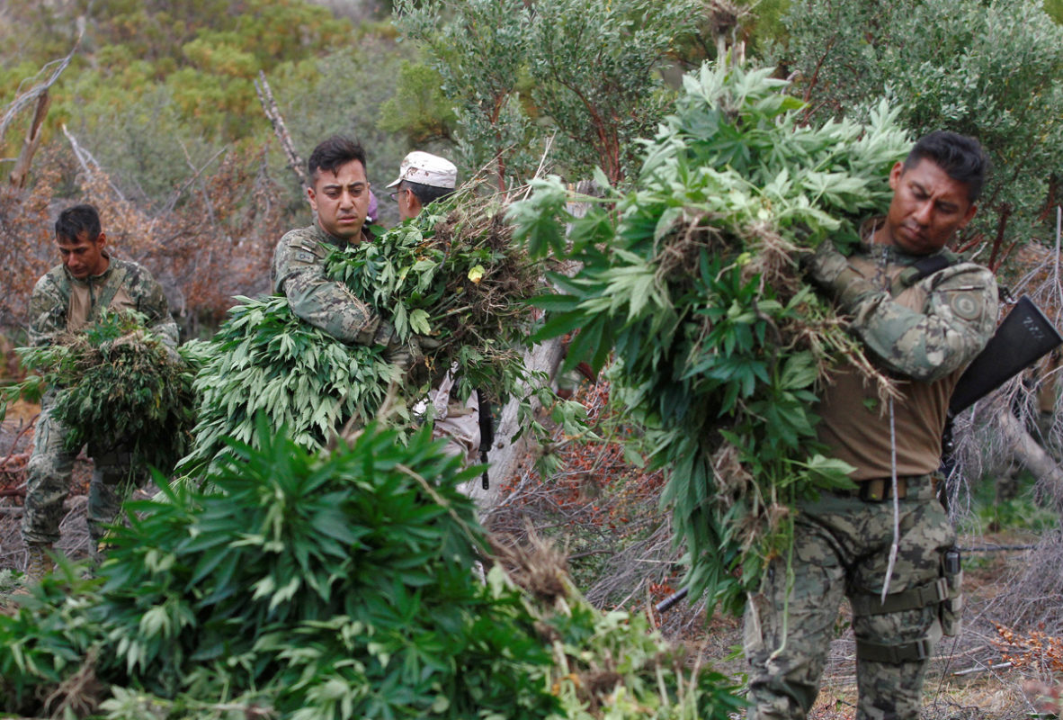 En la entidad de Puebla operan varios grupos significativos del narcotráfico. Según la investigación "Presencia del Crimen Organizado en México" realizada por AC Consultores en 2023. 


Foto: Producción El Universal Puebla