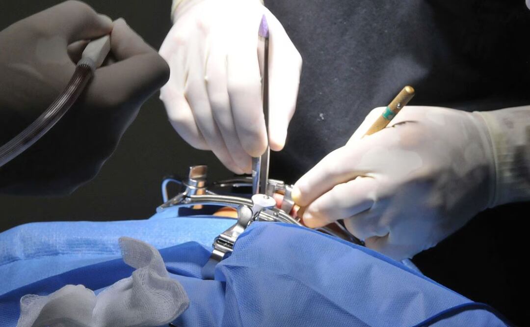 Todos los consultorios, clínicas, asociaciones o colegios pueden ser verificados conforme lo establecen la Ley General de Salud  | Foto: Agencia Es Imagen para El Universal Puebla