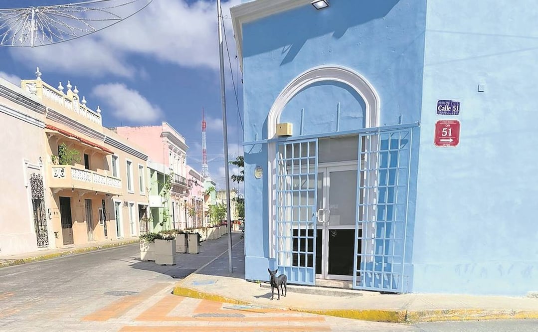 La Canaco reconoció que hay un significativo ausentismo laboral. Foto: Sofía Vallejo/ EL UNIVERSAL.