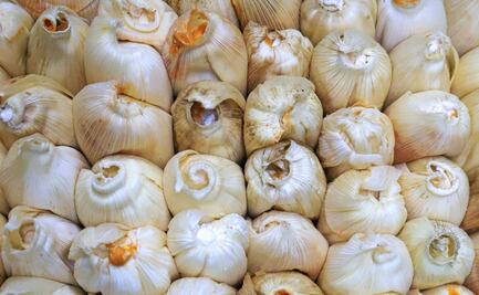 Tamales típicos que sólo encontrarás en Puebla 