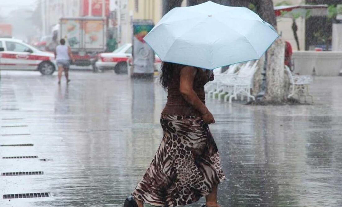 Foto: Archivo El Universal