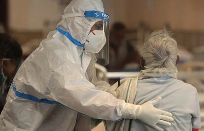 ¿Cómo se transmite y cuáles son los síntomas del virus Chandipura?