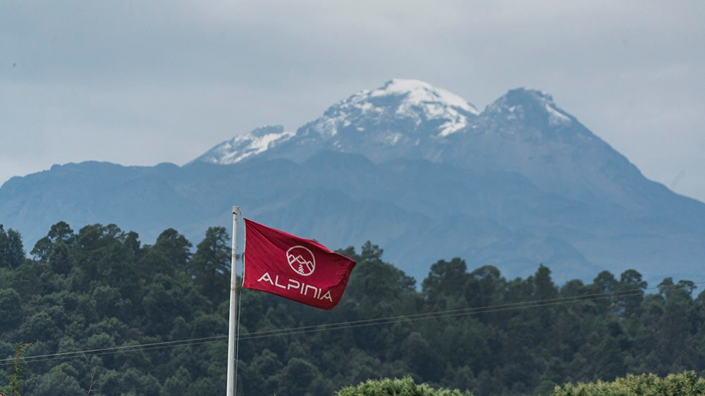 Foto:  www.alpinia.mx
