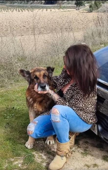 Perro “Dico” se reencuentra con su familia tras 7 años de estar perdido