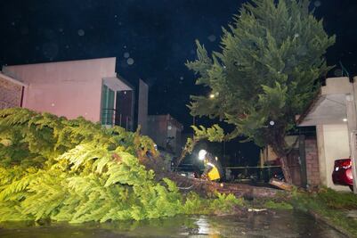 Comunidades incomunicadas, inundaciones y árboles caídos; los daños por las lluvias en Puebla 