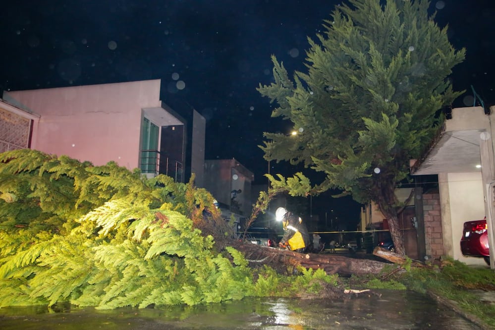Las fuertes lluvias que azotaron la ciudad de Puebla tiraron árboles e inundaron las calles | Agencia Es Imagen para El Universal Puebla