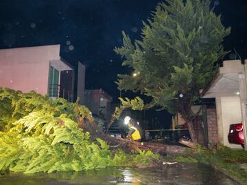 Comunidades incomunicadas, inundaciones y árboles caídos; los daños por las lluvias en Puebla