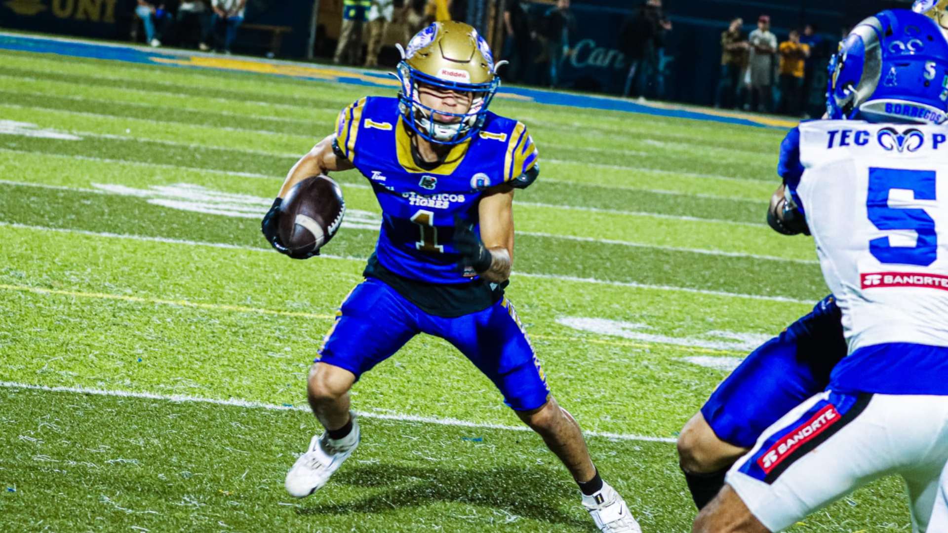 Borregos Puebla vs Auténticos Tigres UANL: Dónde ver EN VIVO la semifinal de la ONEFA