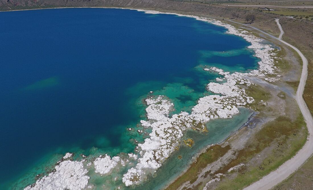 Foto: Agencia Enfoque