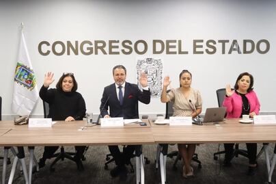 Reporta Comisión del Congreso avances positivos en la encuesta digital dirigida a las ONG 