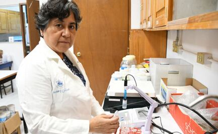 BUAP propone el uso de arcillas para adsorber micotoxinas, un hongo que afecta al maíz