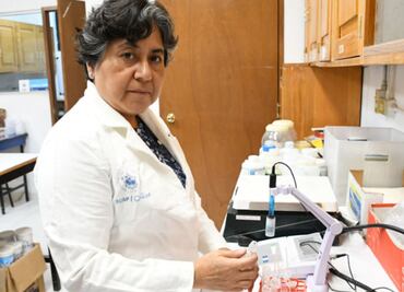 BUAP propone el uso de arcillas para adsorber micotoxinas, un hongo que afecta al maíz