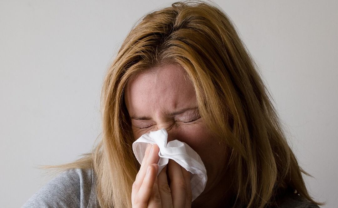 Puebla es primer lugar nacional en defunciones por influenza estacional | IMAGEN: Pixabay