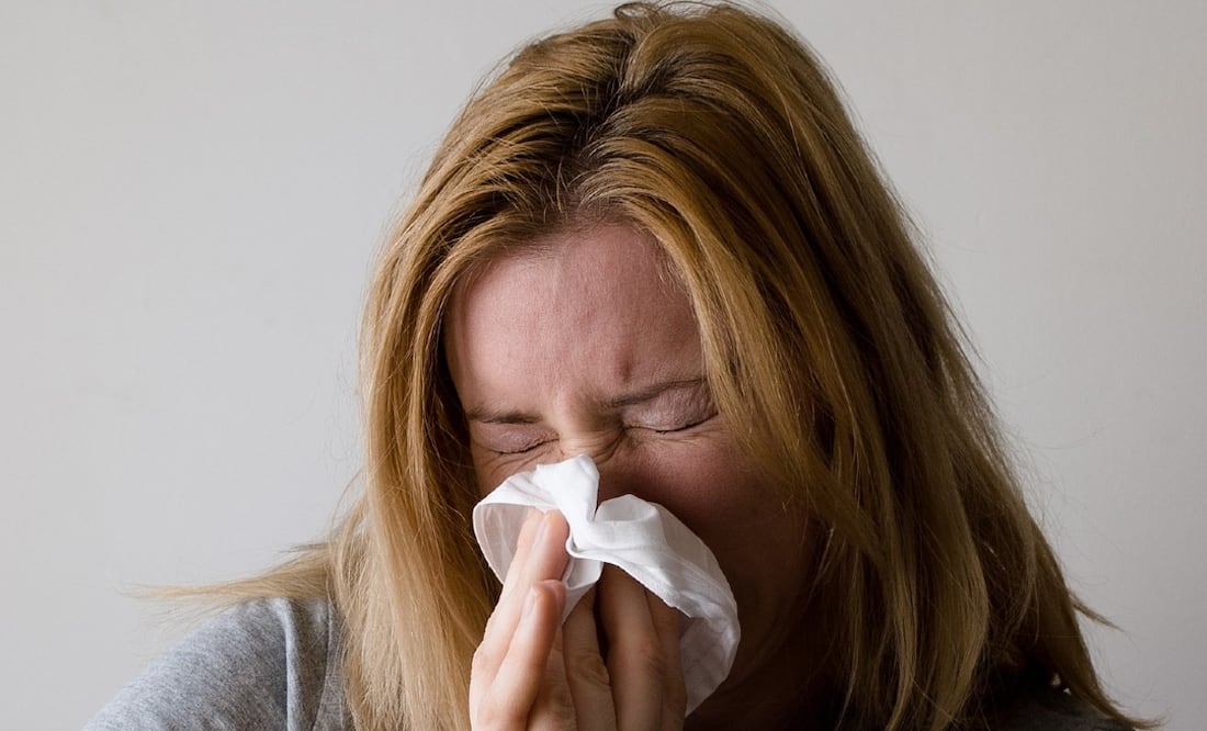 Puebla es primer lugar nacional en defunciones por influenza estacional | IMAGEN: Pixabay