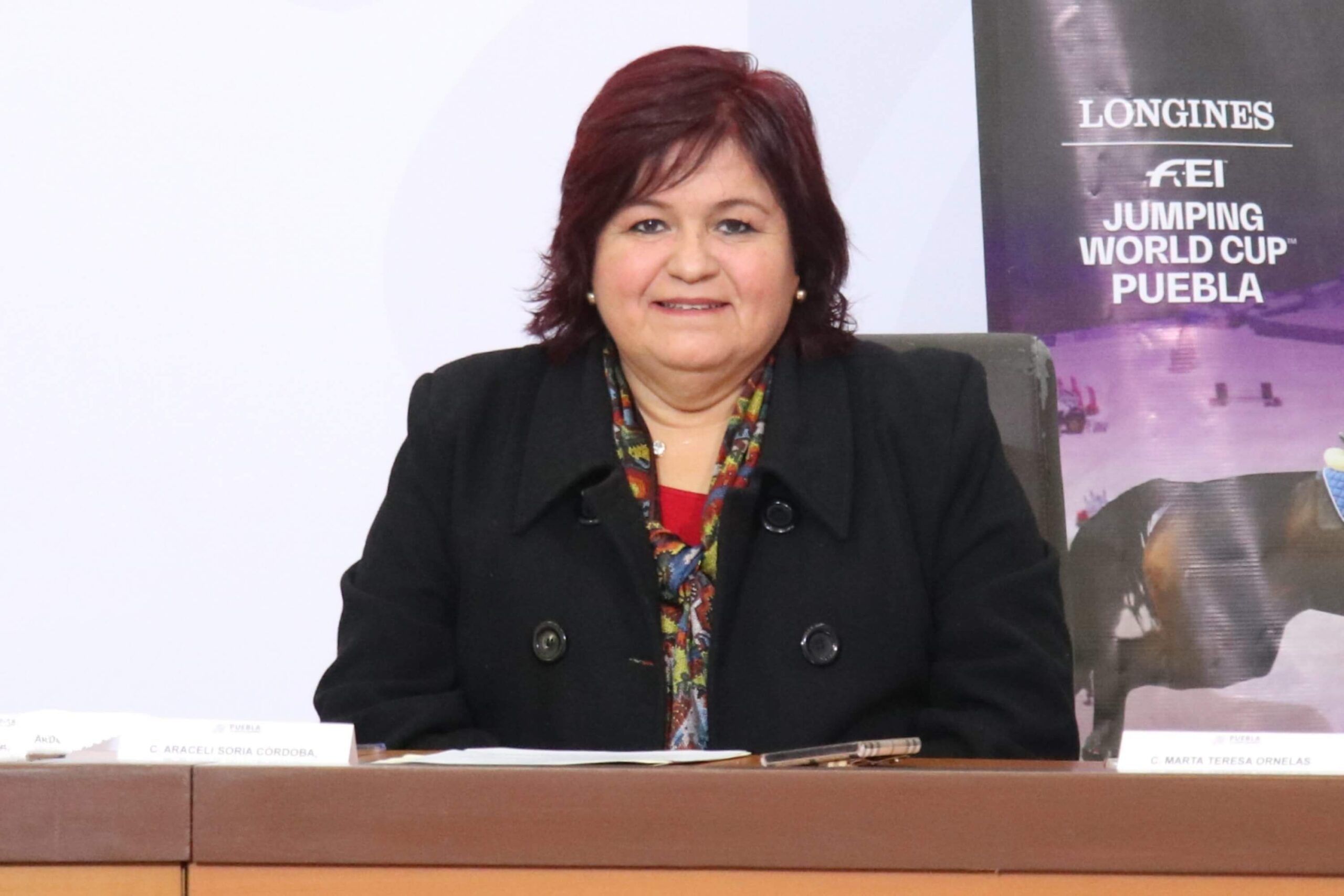 Asimismo, Araceli Soria Córdoba precisó que, en las últimas 24 horas, se registraron 51 nuevos casos confirmados de dengue y no hubo defunciones.

Foto: Producción El Universal Puebla