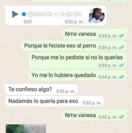 Indigna en redes adolescente de Huauchinango que mató a un perro y lo presumió en WhatsApp  