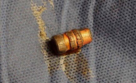 Investigan a policía por presunta agresión contra perrita baleada