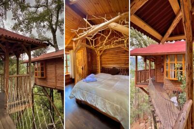 Huye del calor en este Pueblo Mágico de Puebla con casas del árbol de lujo