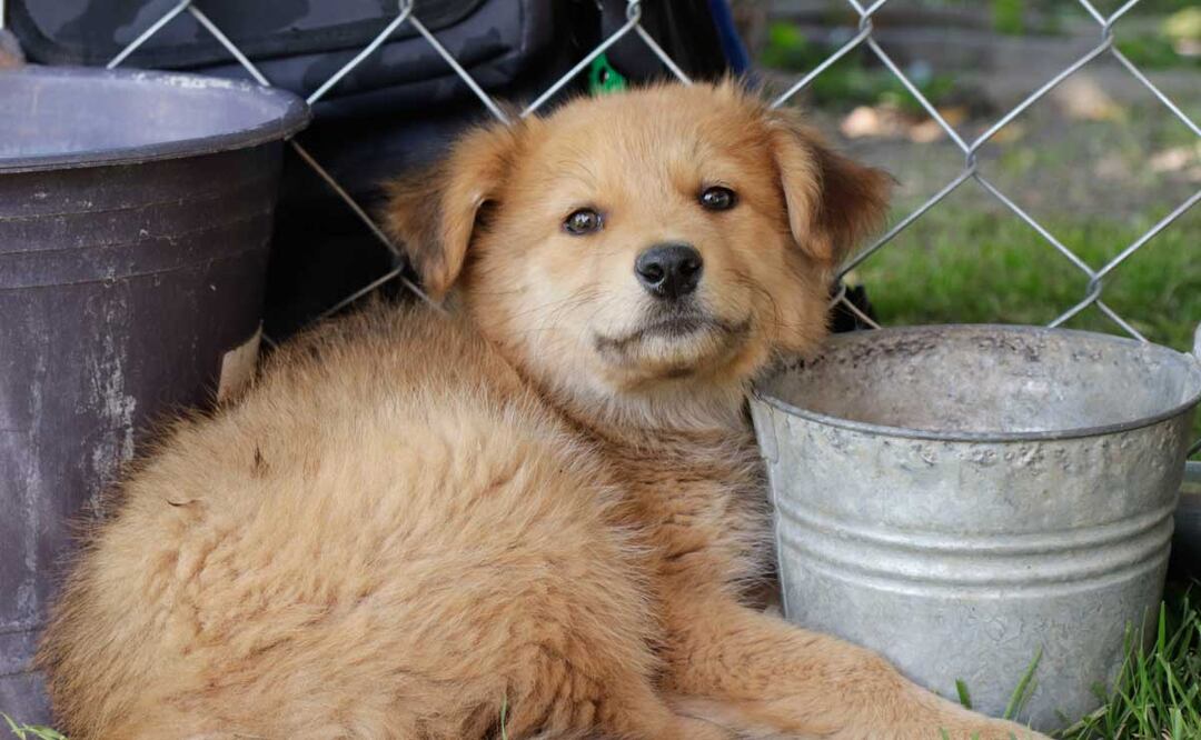 En la mixteca se han registrado diversos casos | Foto: Agencia Es Imagen para El Universal Puebla