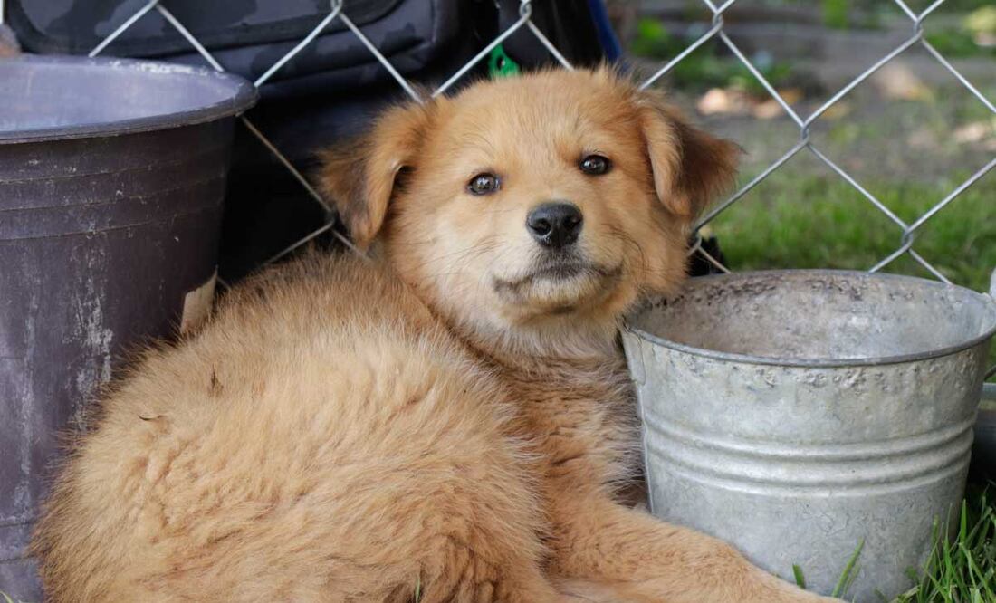 En la mixteca se han registrado diversos casos | Foto: Agencia Es Imagen para El Universal Puebla