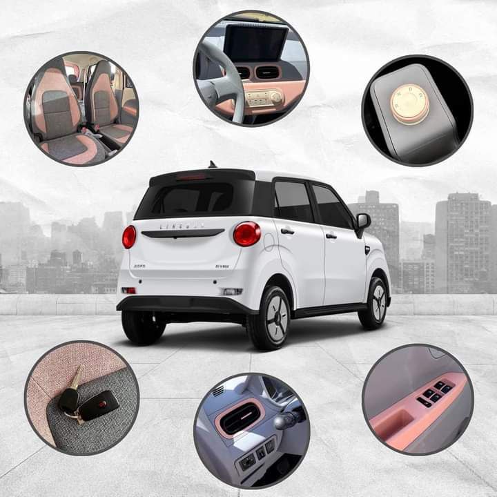 El auto eléctrico ECO1 es ideal para trayectos cortos en la ciudad  | Facebook Jinpeng Puebla