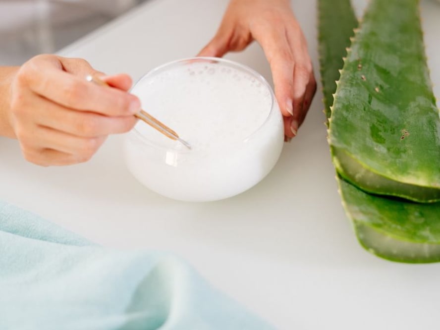 Además de sus aplicaciones en el cuidado de la piel, el aloe vera también es beneficioso para tratar afecciones oculares y trastornos intestinales.
Foto: Producción El Universal Puebla