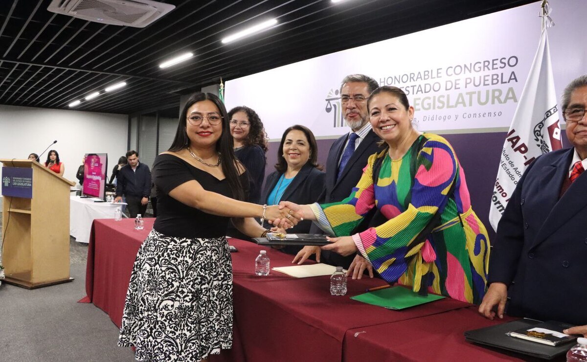 Reconoce Laura Artemisa profesionalización en el IAP