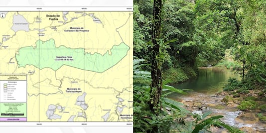 Conoce Kowtahyolo, la nueva Área Natural Protegida en un Pueblo Mágico de Puebla