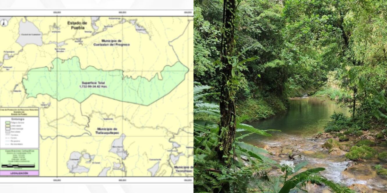 Kowtahyolo nueva Área Natural Protegida de Puebla / Foto: Redes Sociales / Centro INAH Puebla