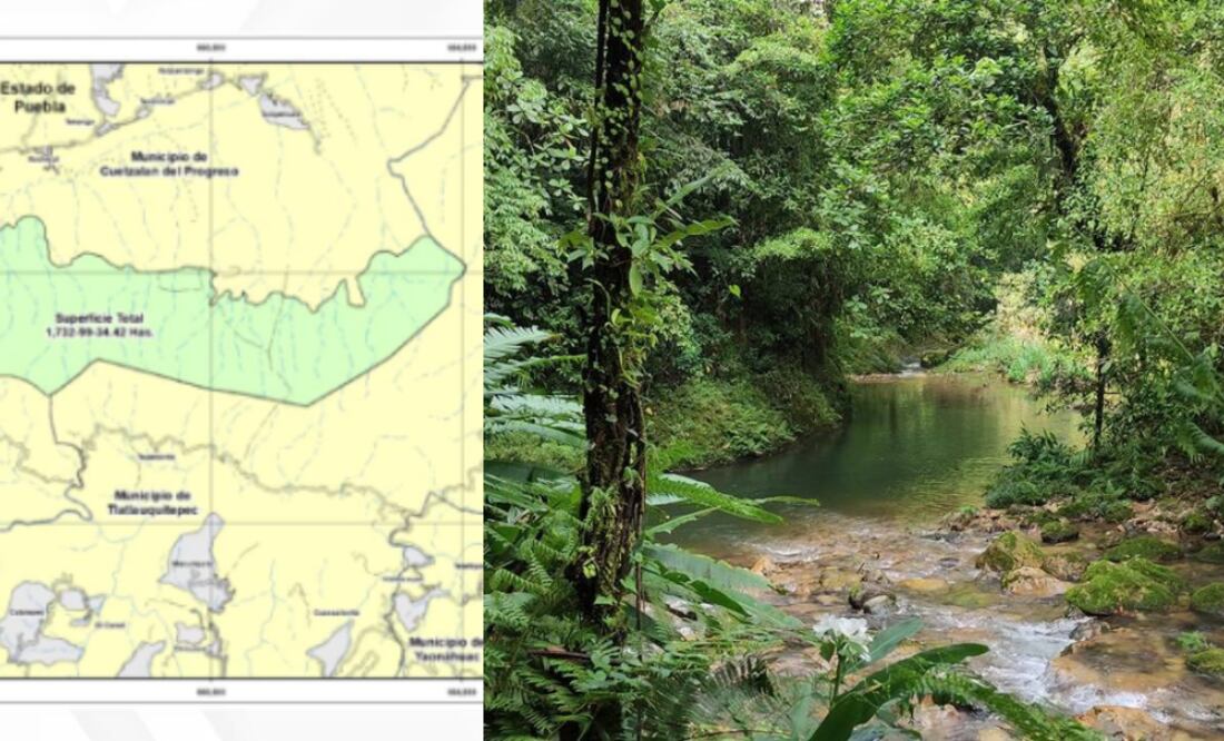 Kowtahyolo nueva Área Natural Protegida de Puebla / Foto: Redes Sociales / Centro INAH Puebla