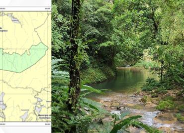 Conoce Kowtahyolo, la nueva Área Natural Protegida en un Pueblo Mágico de Puebla