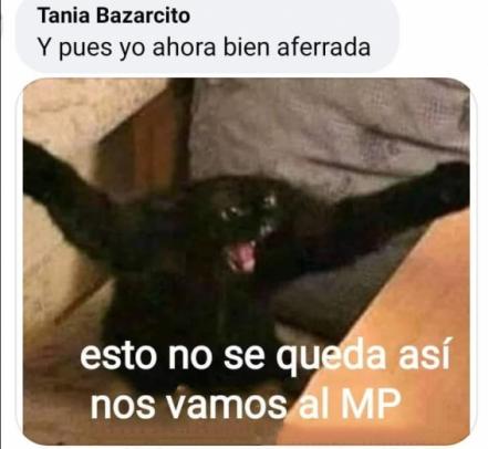 Viral: con memes, neni cuenta su pelea en el metrobús y cómo se salvó 