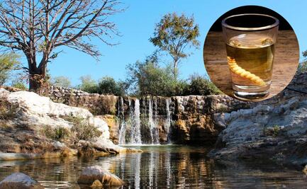 ¿Es Huehuetlán el Grande la cuna del mezcal poblano? aquí la respuesta