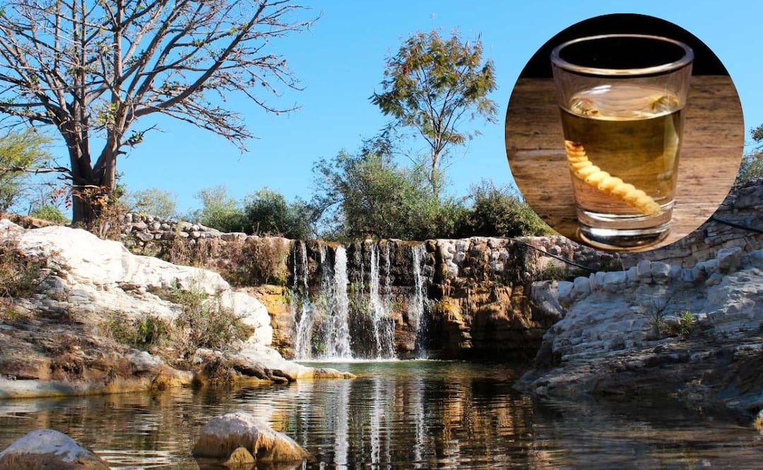 Por la cantidad de palenques donde se produce el mezcal, Huehuetlán el Grande es considerado como la cuna de este destilado | huehuetlanelgrandeoficial / Archivo El Universal