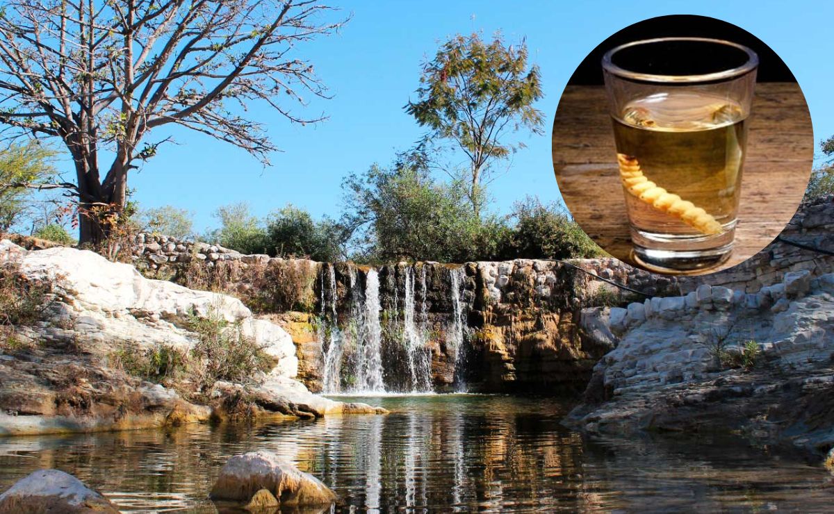 Por la cantidad de palenques donde se produce el mezcal, Huehuetlán el Grande es considerado como la cuna de este destilado | huehuetlanelgrandeoficial / Archivo El Universal