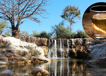 ¿Es Huehuetlán el Grande la cuna del mezcal poblano? aquí la respuesta