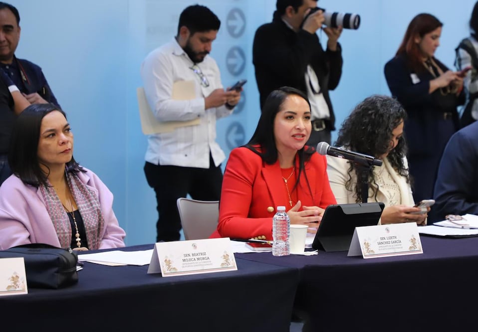 Liz Sánchez habló sobre la reforma a la vivienda | Foto: Especial