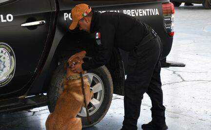 Certifica Puebla a 16 instructores caninos para reforzar la Seguridad Pública
