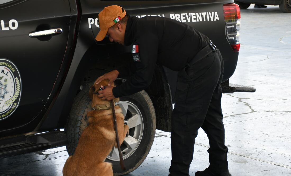 Es la primera generación de esta magnitud a nivel nacional | Foto: Gobierno del Estado.