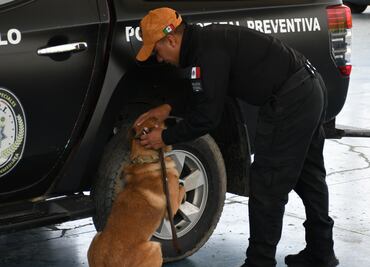 Certifica Puebla a 16 instructores caninos para reforzar la Seguridad Pública