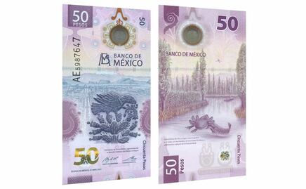 Premian al billete del ajolote. Estos son los nominados a los que venció