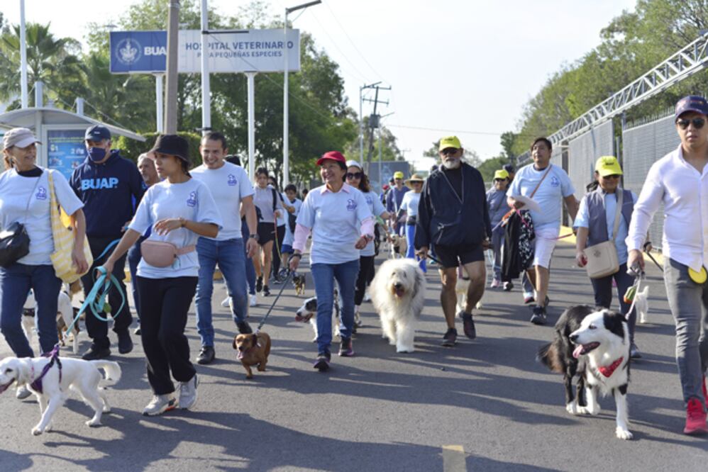 Espacio único en su tipo a nivel nacional e internacional en cuidar la salud emocional de la comunidad universitaria con coterapeutas caninos | BUAP