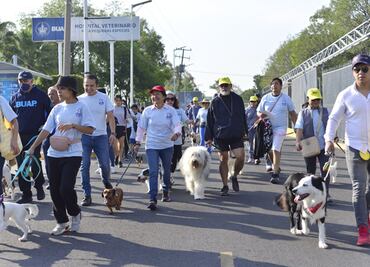 Centro de Apoyo Emocional y Terapia Ocupacional de la BUAP con Animales cumple un año