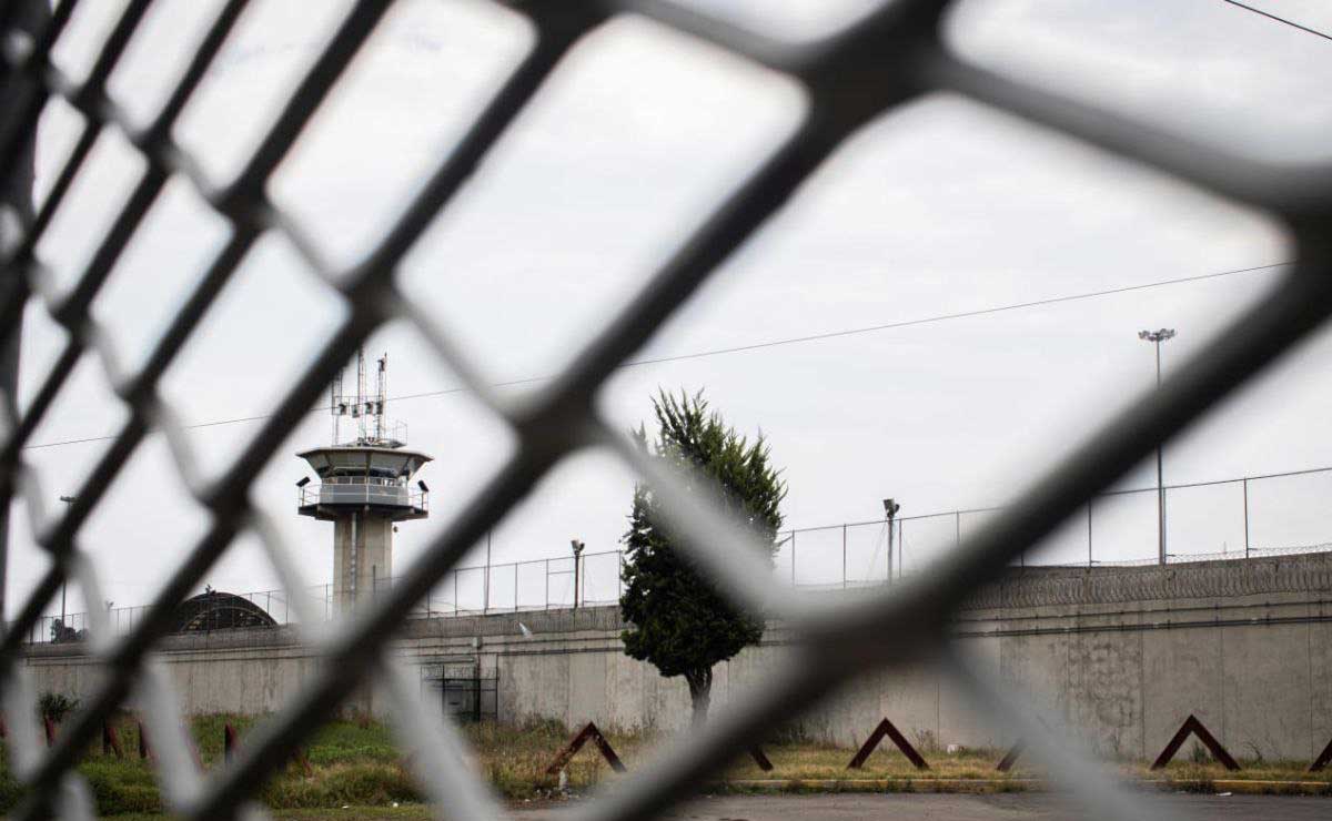 Por maltrato animal, estos poblanos están ahora en prisión