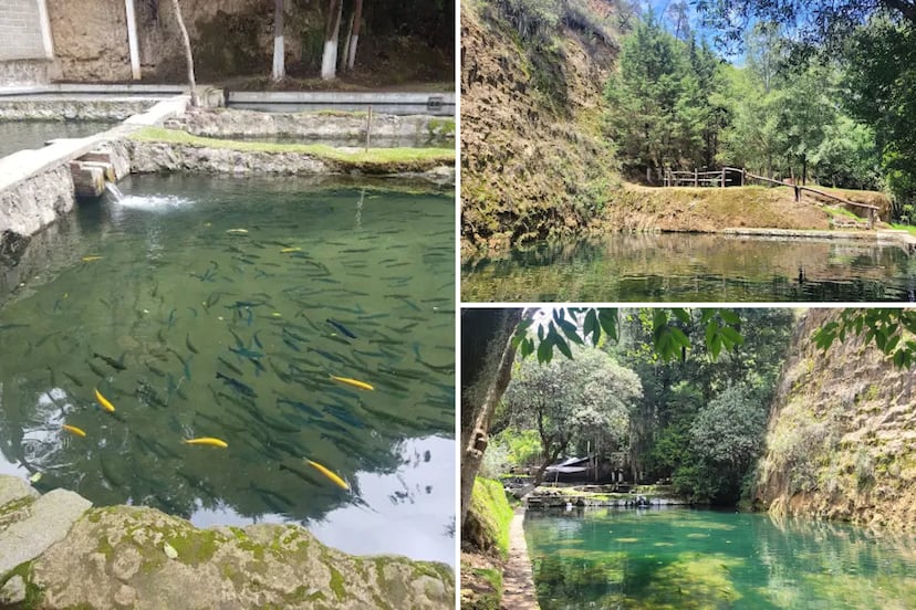 ¿Buscas un plan barato y natural cerca de Puebla? Este criadero de truchas es la opción