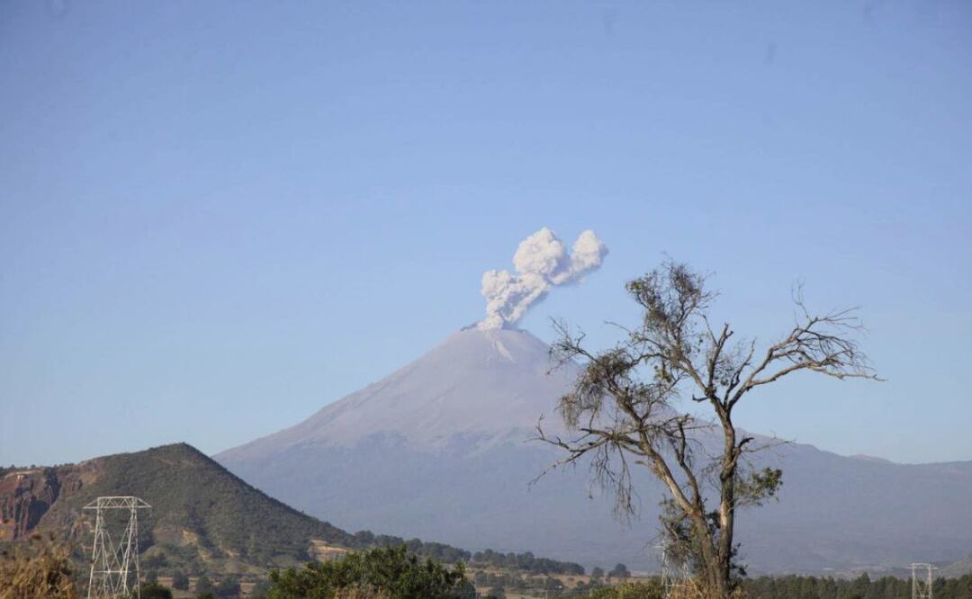 El material que lanza el volcán Popocatépetl en gran cantidad afecta a todos los seres vivos | Foto: Agencia Es Imagen para El Universal Puebla