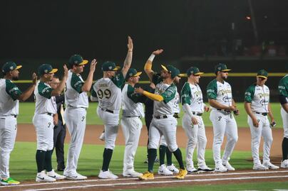 ¿Quién es el dueño de Pericos de Puebla en la LMB?