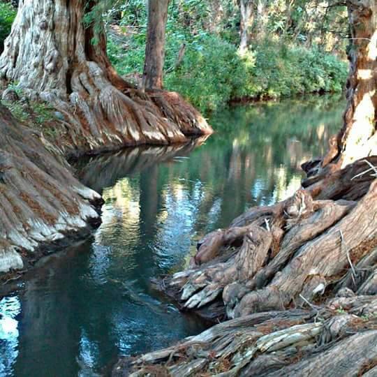El río Ahuehueyo se ubica en el municipio Tilapa y es ideal para darte un chapuzón | Foto: La Magia de Cuexpala