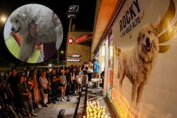Despiden con mariachi a Rocky, el perrito arrastrado y atropellado por su dueña en Saltillo