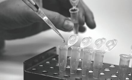 VIDEO. Juez descubre que ninguno de sus hijos es suyo tras 50 años casado